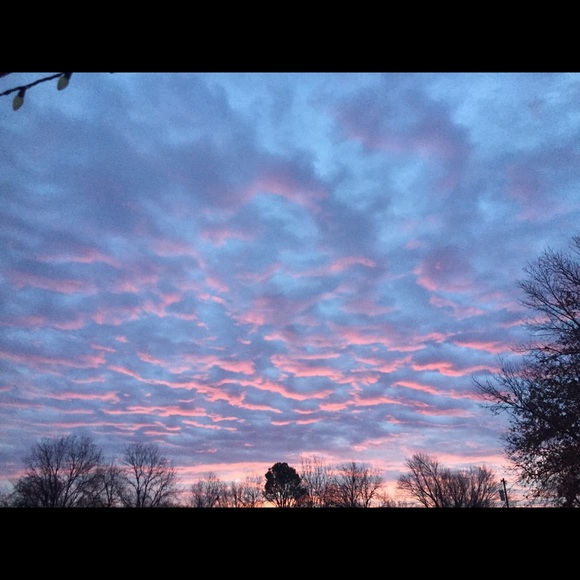 Meet your Posher, Naomi - Picture 1 of 1